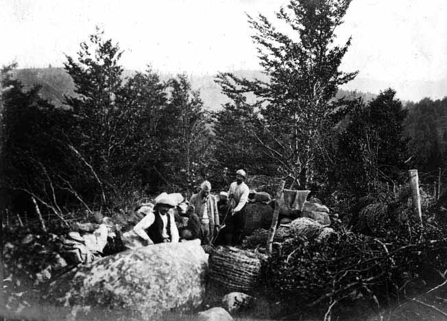 Hartmannswillerkopf