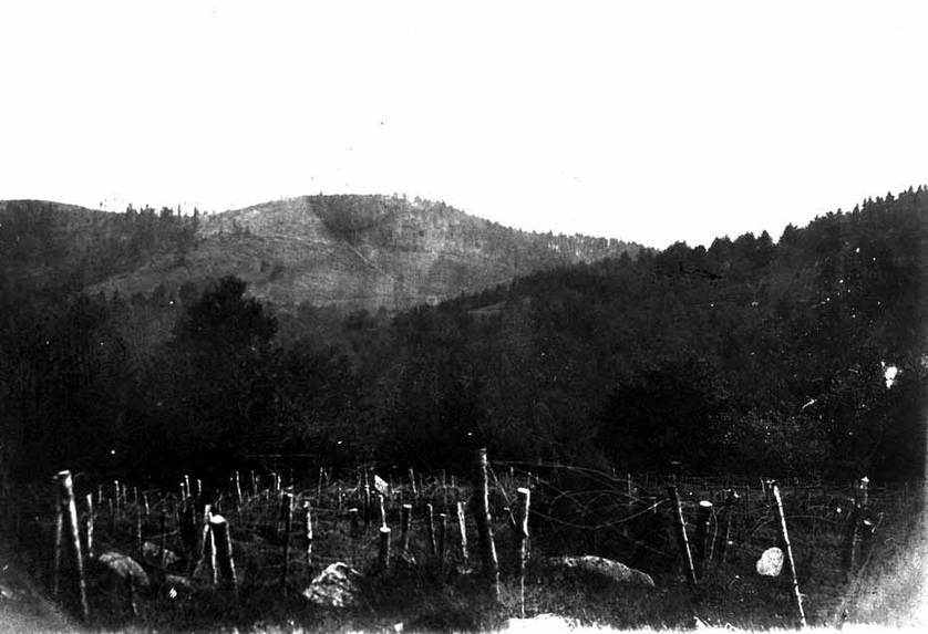 Hartmannswillerkopf