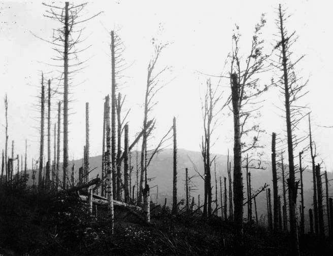 Hartmannswillerkopf 