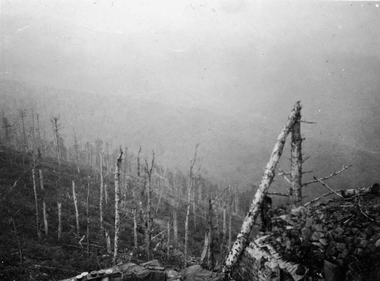 Hartmannswillerkopf 