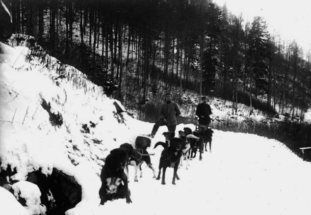 chien alaska vosges 1917